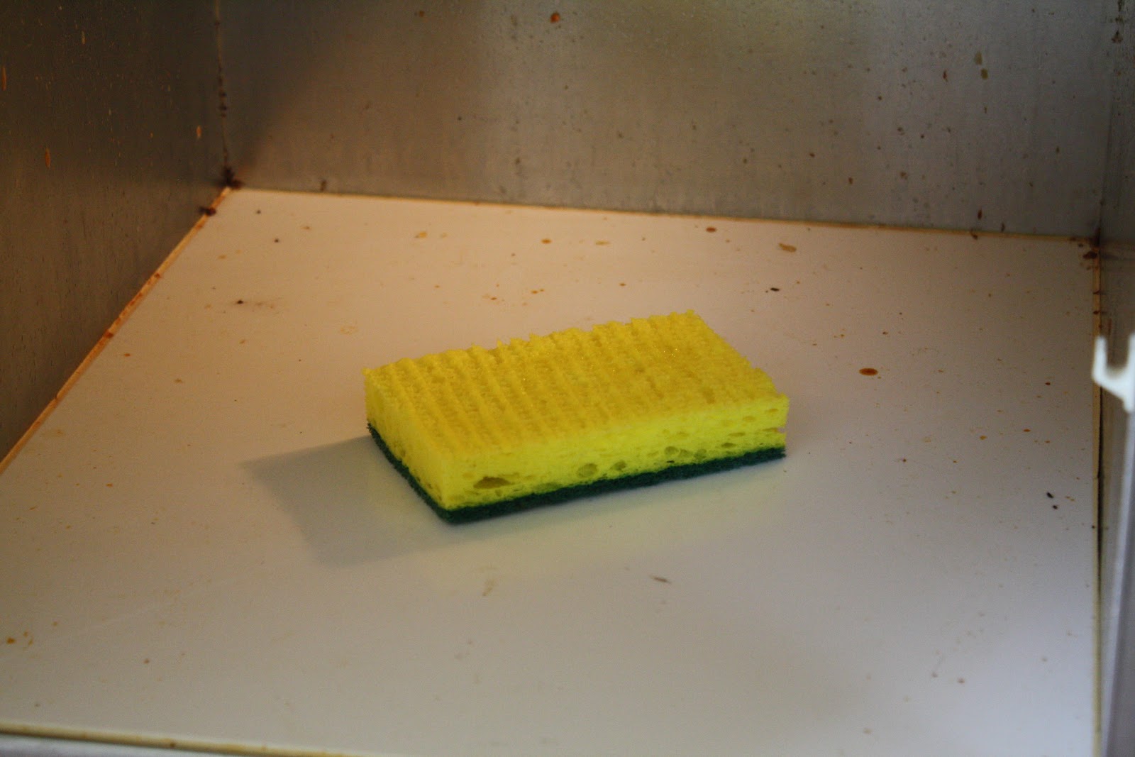 Sunny Simple Life Clean and Sanitize that Sponge and Microwave